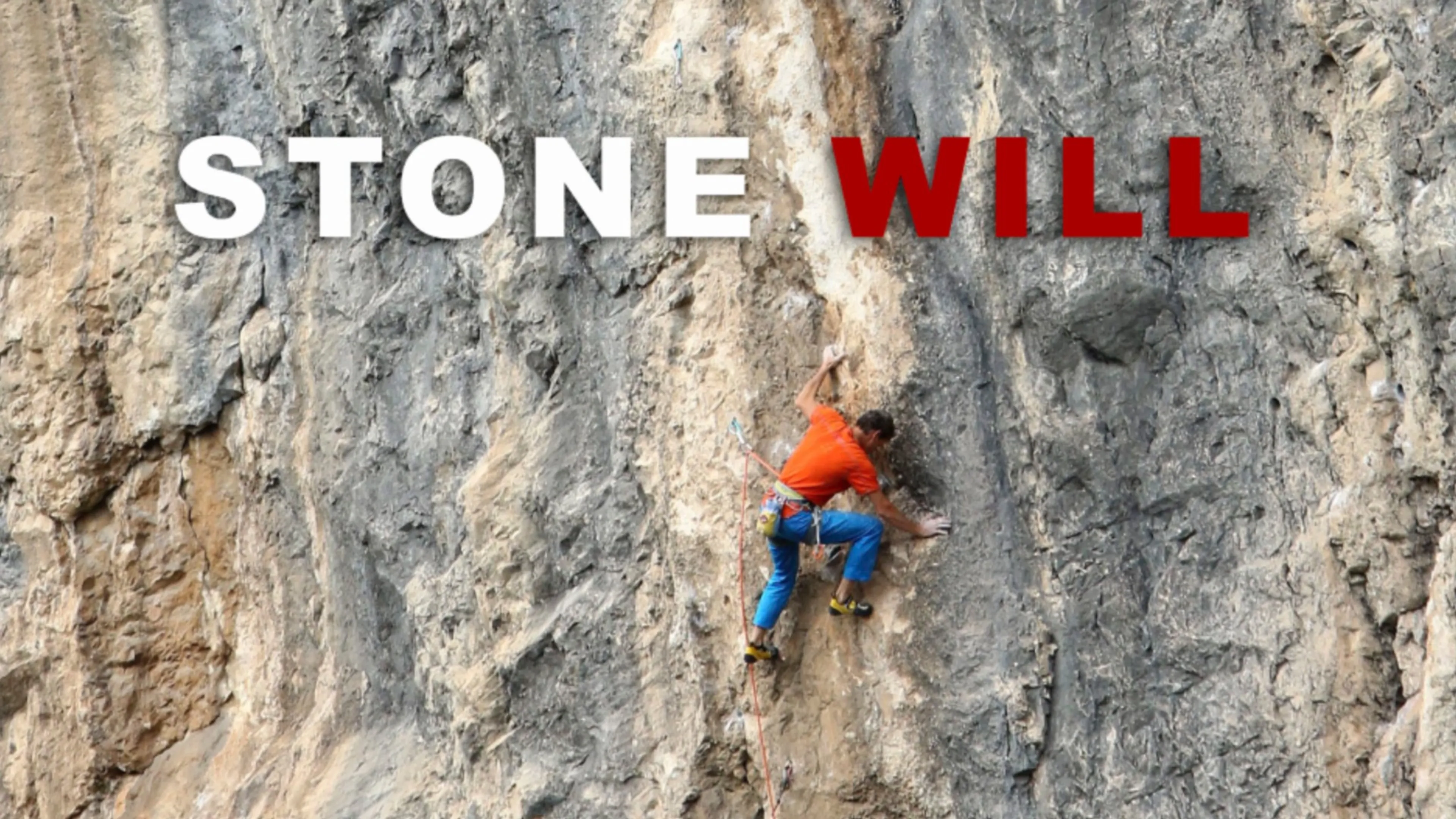 Stone Will poster
